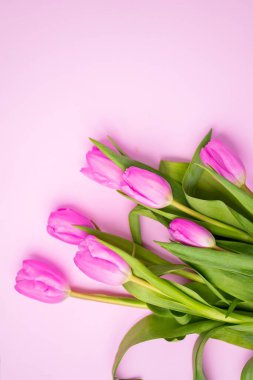 Fotokopi alanı olan renkli bir arka planda güzel pembe laleler, yakın plan. Metin için kaynak kopyalama alanı