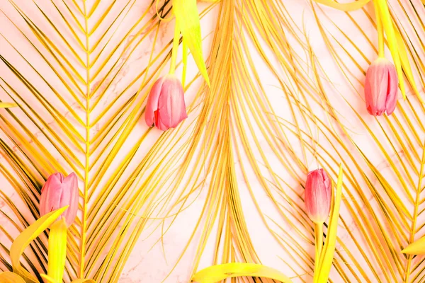 Абстрактний Яскраво Жовтий Фон Травами Рожевими Тюльпанами Вид Зверху Крупним — стокове фото