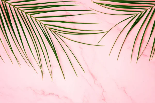 Тропічний Зелений Пальмовий Листок Рожевому Мармуровому Тлі Вигляд Зверху Вигляд — стокове фото