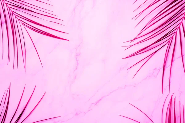 Тропічні Кольорові Пальми Залишають Рамку Рожевому Тлі Літня Концепція Плоский — стокове фото