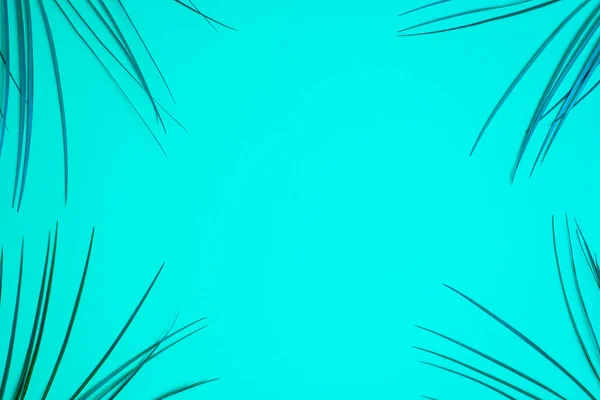 テキストのコピースペースがある空の青の背景に熱帯ヤシの葉 ミニマルなコンセプト トップビュー フラットレイアウト — ストック写真