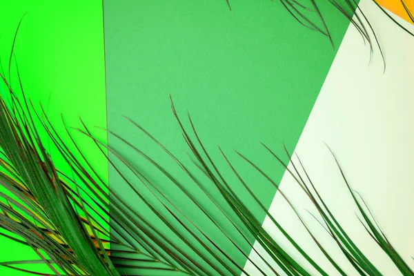 Креативная Разноцветная Компоновка Расписных Листьев Синем Розовом Мятном Зеленом Фоне — стоковое фото