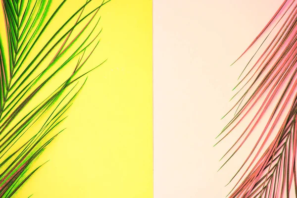Красивый Двухцветный Фон Летняя Концепция Вид Сверху Плоский Закрашенные Тропические — стоковое фото
