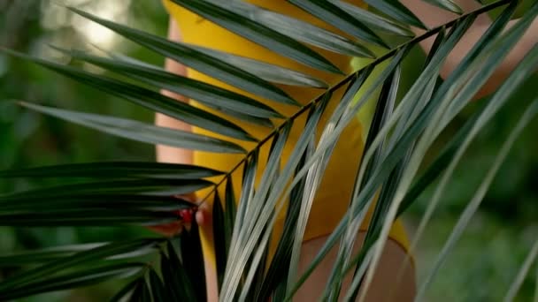 Woman in swimsuit on tropical plants background — Stock Video