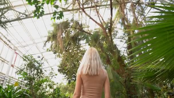 Grande femme blonde en maillot de bain jaune, body lingerie se tient en retrait dans une forêt exotique — Video