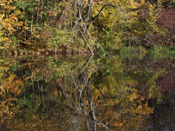 Paisagem de árvores refletida na água no parque Wilanow na capital europeia de Varsóvia, na Polônia — Fotografia de Stock