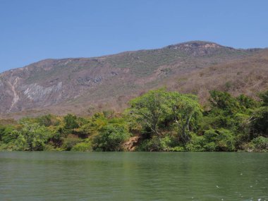 Meksika 'nın Chiapas eyaletindeki Grijalva nehri manzarasındaki Sumidero Kanyonu' nun vahşi yamacına manzaralı 2018 'de açık mavi gökyüzü, güneşli bir kış günü, Kuzey Amerika.