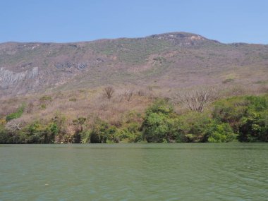 Meksika 'nın Chiapas eyaletindeki Grijalva nehri manzarasında Sumidero Kanyonu' nun vahşi yamacına parlak bir manzara 2018 'de açık mavi gökyüzü, güneşli bir kış günü, Kuzey Amerika' da Şubat ayında.