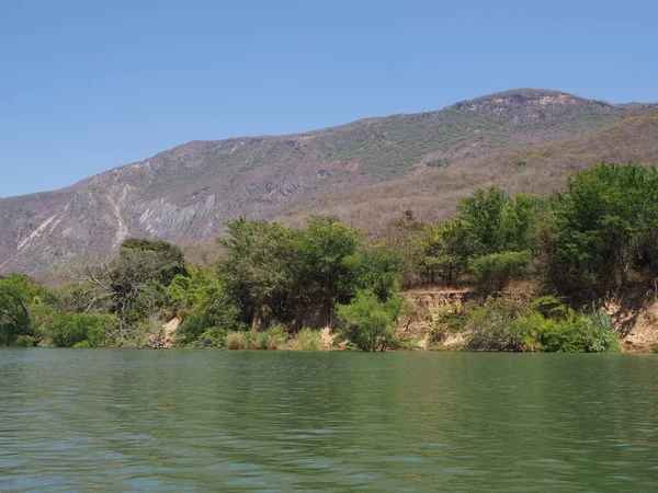 Vista Pitoresca Para Encosta Selvagem Cânion Sumidero Nas Paisagens Rio — Fotografia de Stock