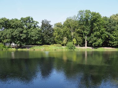 Ağaçlar, Varşova Avrupa 'nın başkenti Polonya' daki parkta göldeki suya, 2019 'da güneşli bir yaz gününde açık mavi gökyüzüne yansıyor..