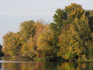 Colored landscapes of trees and lake at Wilanow park in european Warsaw capital city in Poland, clear blue sky in 2018 warm sunny autumn day on October.