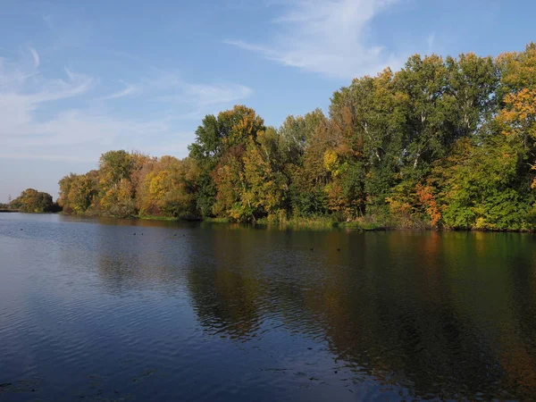 Picturesque Landscapes Trees Lake Wilanow Park European Warsaw Capital City — Stock Photo, Image