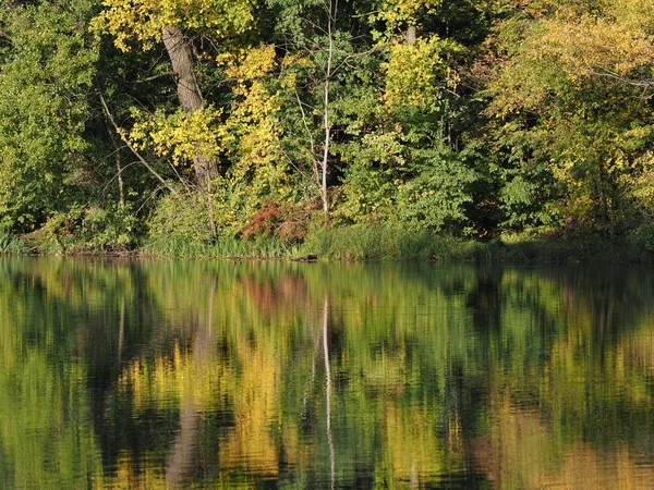 Paisagens Beleza Árvores Refletidas Água Parque Wilanow Capital Europeia Varsóvia — Fotografia de Stock