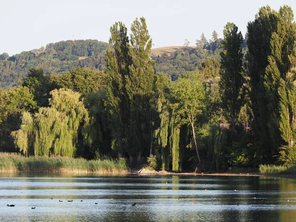 Beauty Rhine River Landscapes Reflected Water Seen European Stein Rhein — Foto de Stock