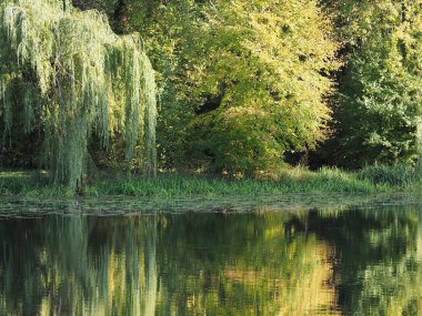 Unique landscapes of trees reflected in water at Wilanow park in european Warsaw capital city in Poland in 2018 warm sunny autumn day on October.