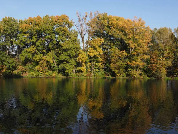 Beautiful Landscape Trees Lake Wilanow Park European Warsaw Capital City — Fotografia de Stock