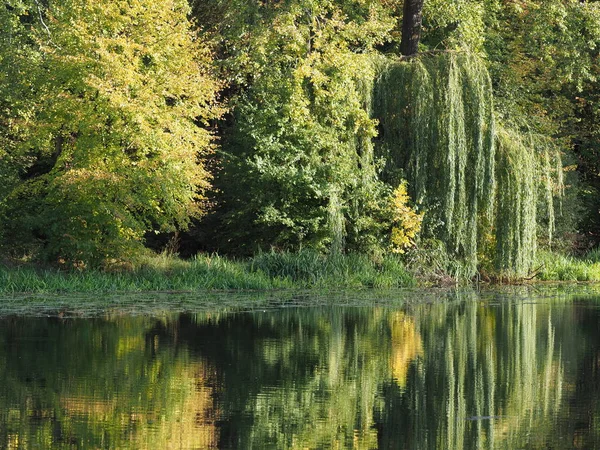 Trees Reflected Water Wilanow Park European Warsaw Capital City Poland — Zdjęcie stockowe