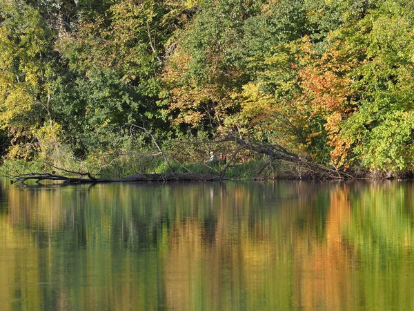 Colorful Trees Reflected Water Wilanow Park European Warsaw Capital City — Fotografia de Stock