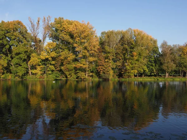 Desolate Landscapes Trees Lake Wilanow Park European Warsaw Capital City — Zdjęcie stockowe