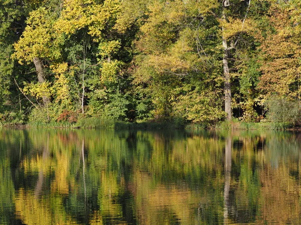 Great Landscapes Trees Reflected Water Wilanow Park European Warsaw Capital — Zdjęcie stockowe