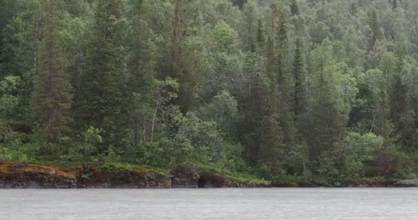 Спокойное Озеро Свартисватнет Водопад Ландшафтах Вблизи Европейского Ледника Свартисен Округе — стоковое видео