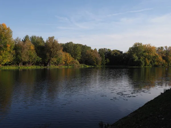 Lakeside View Trees Wilanow Park European Warsaw Capital City Poland — Stockfoto