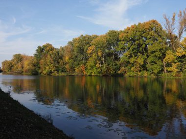 Polonya 'nın Avrupa' nın başkenti Varşova 'daki Wilanow Parkı' ndaki ağaç manzaraları, 2018 yılının güneşli sonbahar gününde açık mavi gökyüzü..