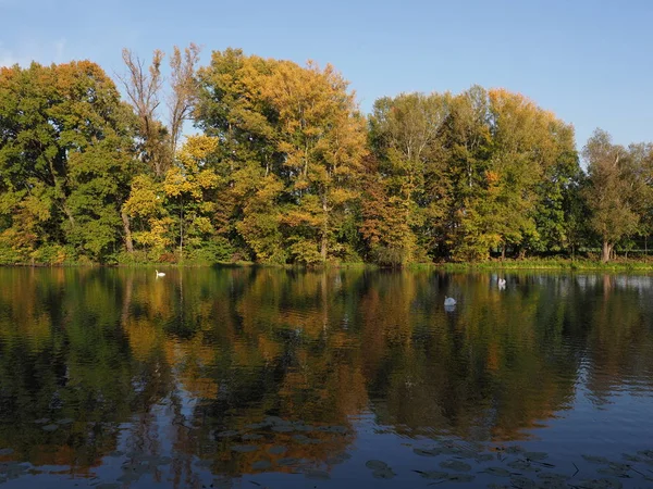 Forest Landscapes Trees Lake Wilanow Park European Warsaw Capital City — Zdjęcie stockowe