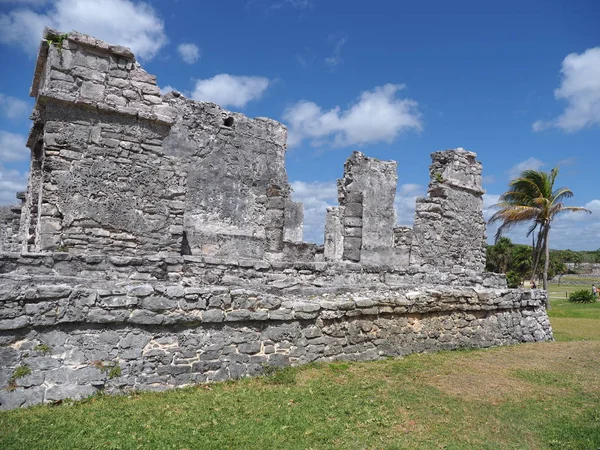 Ruínas Templo Mayan Cidade Mexicana Tulum Quintana Roo México Campo — Fotografia de Stock