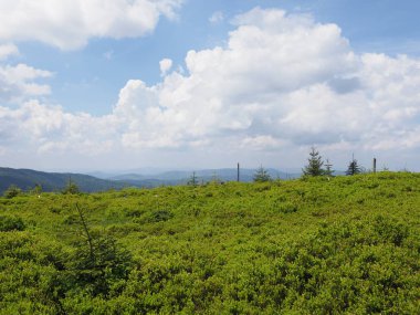 Polonya 'nın Szczyrk kentinin yukarısındaki Salmopol geçidi yakınlarındaki Silesian Beskids Dağları' na, Haziran 'ın sıcak yaz günü 2019' da bulutlu mavi gökyüzüne bakın..