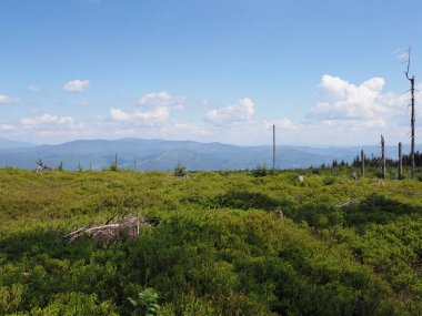 Polonya 'nın Silezya Beskids Dağları' nın Panoraması, Avrupa 'nın Szczyrk kentinin yukarısındaki Salmopol geçidi yakınlarındaki manzaralar, Haziran' ın 2019 'da sıcak ve güneşli yaz gününde bulutlu bir gökyüzü..