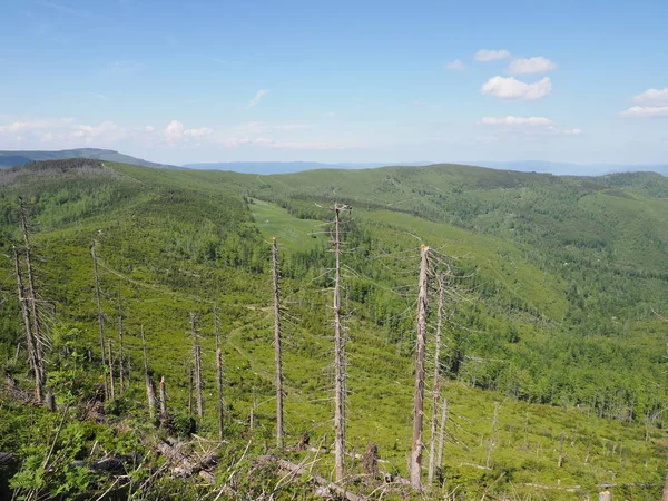 Silesian Beskids Mountains Field Salmopol Pass Landscapes European City Szczyrk — 스톡 사진