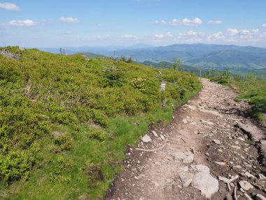 Polonya 'nın Szczyrk kentinin yukarısındaki Salmopol geçidi yakınlarındaki Silesian Beskids Dağları' ndaki taşlı güzergah, Haziran 'ın sıcak ve güneşli 2019 yaz gününde açık mavi gökyüzü.