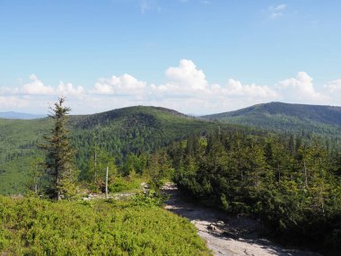 Salmopol yakınlarındaki Silesian Beskids Dağları 'ndaki yollar Polonya' nın Szczyrk kentinin yukarısındaki Salmopol geçidi, Haziran 'ın sıcak yaz günü 2019' da açık mavi gökyüzü.