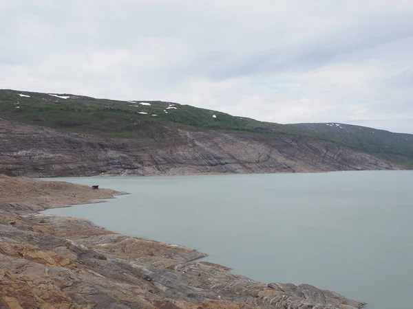 Fantásticos Paisajes Del Lago Austerdalsvatnet Cerca Del Glaciar Europeo Svartisen —  Fotos de Stock