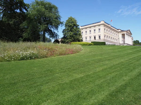 Grassy Field Palace European Capital City Oslo Ostlandet District Norway — стоковое фото