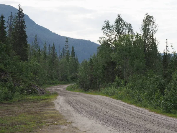 Štěrková Cesta Lesní Krajině Blízkosti Evropských Svartisen Ledovec Nordland County — Stock fotografie