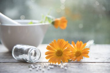 Takvim çiçekleri ve doğal arka planda homeopatik granüller. homeopati ve naturopati.