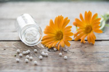 Takvim çiçekleri ve doğal arka planda homeopatik granüller. homeopati ve naturopati.