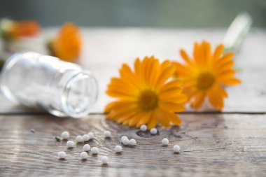 Takvim çiçekleri ve doğal arka planda homeopatik granüller. homeopati ve naturopati.