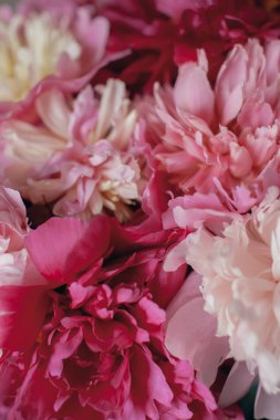 Sinema eski kamera seti