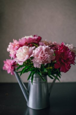 Koyu arka plan üzerinde pembe Şakayık çiçeği