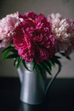 Koyu arka plan üzerinde pembe Şakayık çiçeği