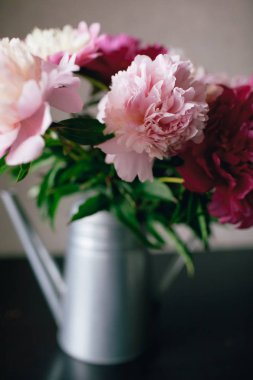 Koyu arka plan üzerinde pembe Şakayık çiçeği