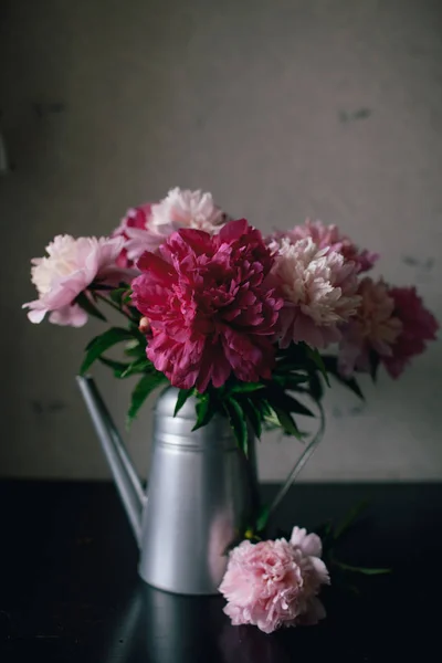 Pünkösdi rózsa virág sötét háttér — Stock Fotó