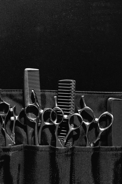 Ciseaux Peignes Professionnels Élégants Coiffeur Concept Salon Coiffure Ensemble Outils — Photo