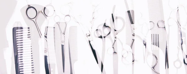 Stylish Professional Barber Scissors Brushes Combs Hairdresser Salon Concept Hairdressing — ストック写真