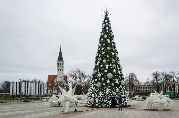 Meydanda bir Noel ağacı.