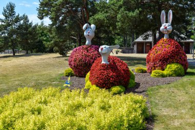 Tavşan ya da tavşan şeklinde üç çiçek yatağı..