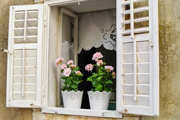 Pencere kenarında iki saksı pembe çiçek duruyor.. — Stok fotoğraf